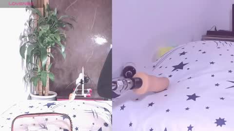 Carol online show from 21, 4, 2026