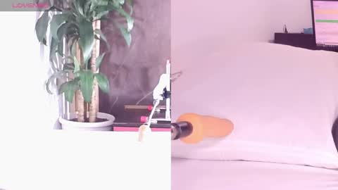 Carol online show from 25, 4, 2026