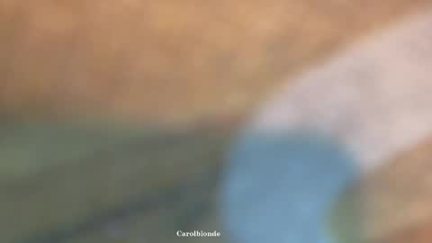 Char online show from 20, 4, 2026