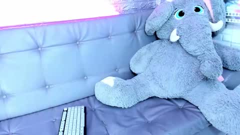 carolinejesh online show from 17, 2, 2026