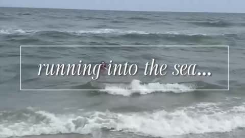 Snapshot of carriemadsin chatting on 2, 12, 2025 carrie madsin online show from 2, 12, 2025