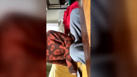 carrrigggg online show from 3, 3, 2026