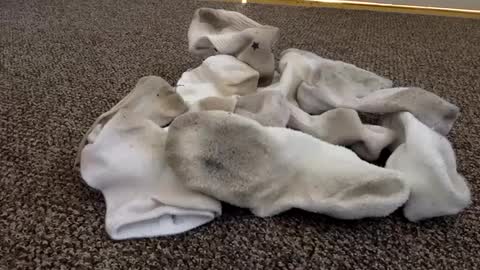 cash13bychanel online show from 4, 2, 2025