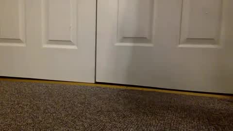 cash13bychanel online show from 6, 3, 2025