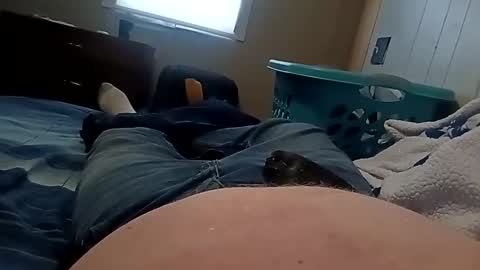 Sir Stroke Alot online show from 2, 12, 2024