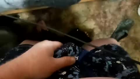 Sir Stroke Alot online show from 11, 3, 2025