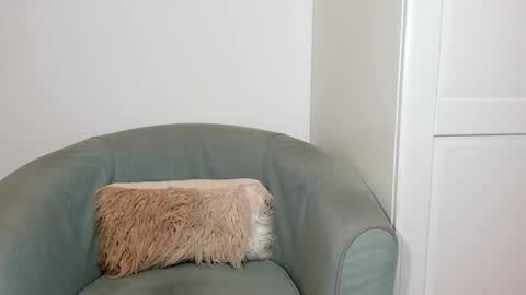 cassiecute - onlyfans account online show from 26, 3, 2026