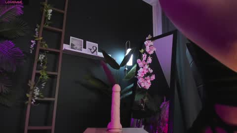 Snapshot of cassiecool chatting on 2, 2, 2025 assie online show from 2, 2, 2025