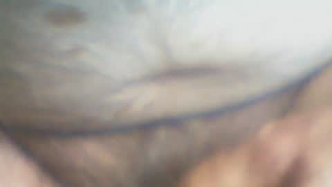 castells online show from 5, 10, 2025