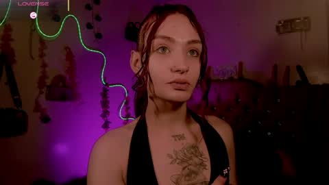 cata__mw online show from 31, 3, 2026