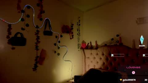 cata__mw online show from 22, 4, 2026