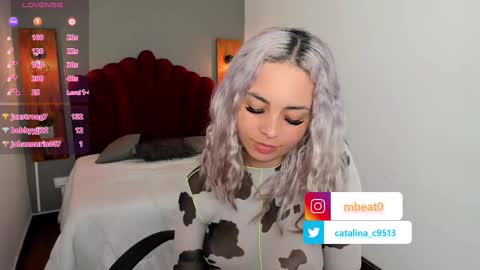 Catalina online show from 27, 2, 2025