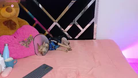 Snapshot of catalina_smith__ chatting on 10, 3, 2026 Catalina online show from 10, 3, 2026