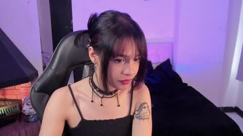 Cat  online show from 24, 12, 2024