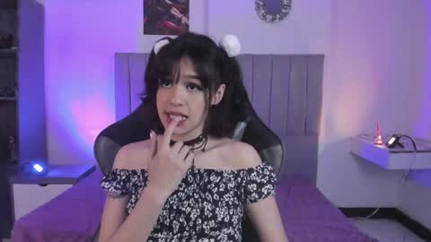 Cat  online show from 29, 12, 2024