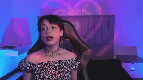 Cat  online show from 13, 1, 2025