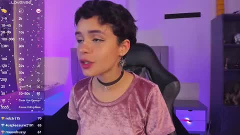 Cat  online show from 9, 2, 2025