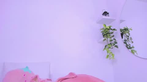      online show from 12, 3, 2025