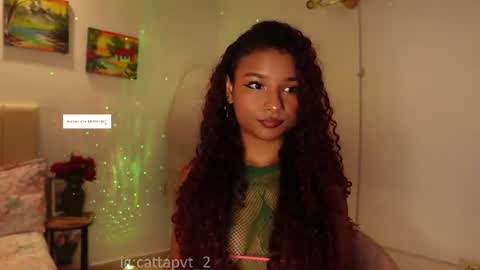 catta 3 online show from 6, 8, 2026