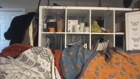 cattypants online show from 10, 9, 2025