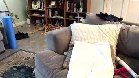 Snapshot of cdub2533 chatting on 23, 2, 2026 Coach Daddy online show from 23, 2, 2026