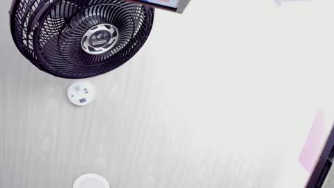 celeste_starsss online show from 15, 2, 2025