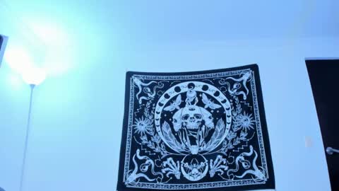   online show from 13, 12, 2024