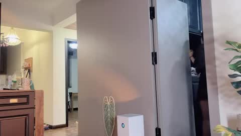 celestisse1 online show from 21, 4, 2026