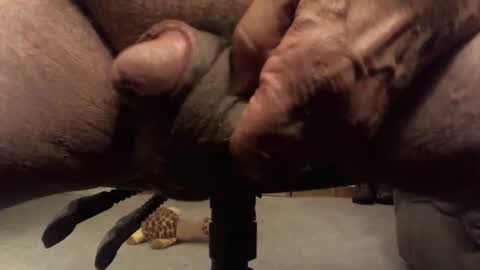 Snapshot of centaur629 chatting on 13, 2, 2026 centaur629 online show from 13, 2, 2026