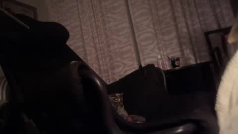 Snapshot of cfnmfriendly chatting on 23, 10, 2025 cfnmfriendly online show from 23, 10, 2025