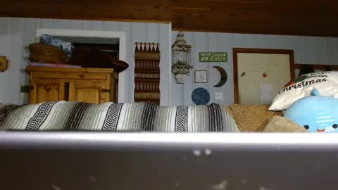 Snapshot of cguffey2284 chatting on 29, 12, 2024 cguffey2284 online show from 29, 12, 2024