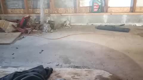 chadr1616 online show from 15, 11, 2025