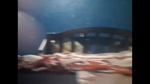 Khalif online show from 20, 12, 2024