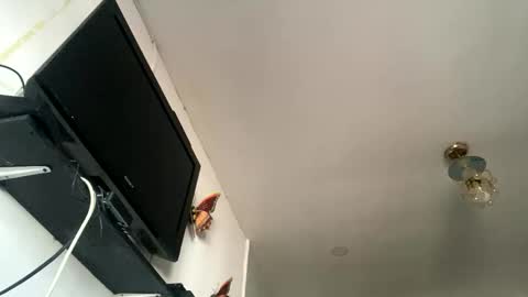 chanelfancy online show from 26, 4, 2026