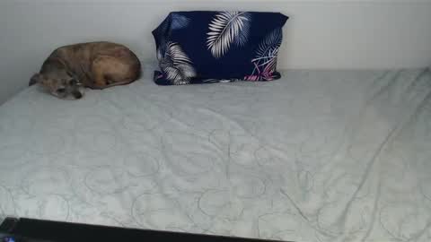 Snapshot of chanelsexyy chatting on 10, 12, 2024 Viviana 3 online show from 10, 12, 2024