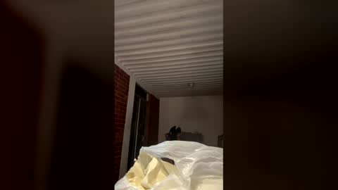    online show from 18, 1, 2026