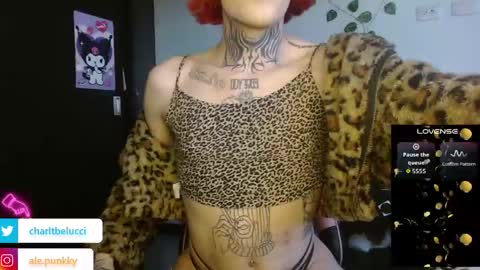 Ale punky online show from 26, 4, 2026