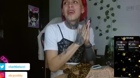 Ale punky online show from 27, 4, 2026