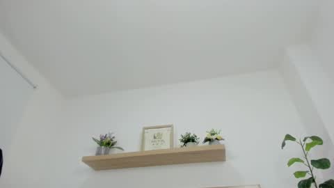 C H A R L O T E online show from 6, 3, 2026