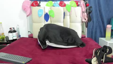 Charlott online show from 17, 12, 2024