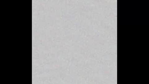 Charlotte online show from 13, 2, 2025