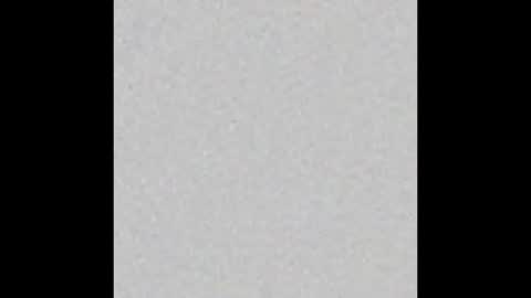 Charlotte online show from 8, 11, 2025