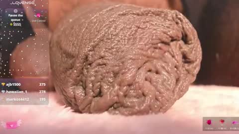 Char online show from 10, 3, 2025