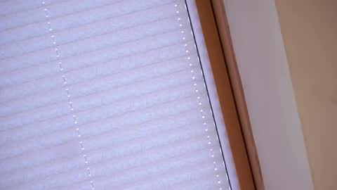 Sofia online show from 21, 4, 2026