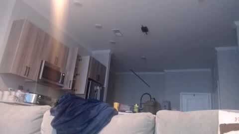 Snapshot of chefdev chatting on 19, 11, 2025 Chef Dev XXX online show from 19, 11, 2025