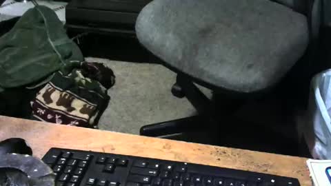 chefy online show from 18, 12, 2025