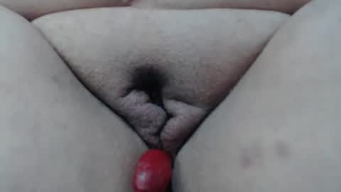 Cheila online show from 24, 2, 2026