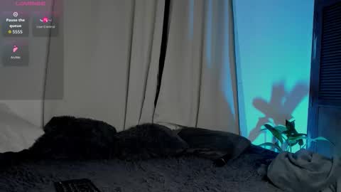 Snapshot of cherrybr_ chatting on 11, 1, 2026 Cherry Lady online show from 11, 1, 2026