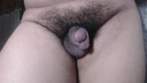 chescahotxxxl online show from 4, 12, 2025