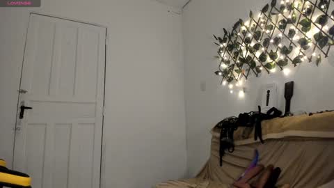 sammy coll online show from 17, 12, 2024